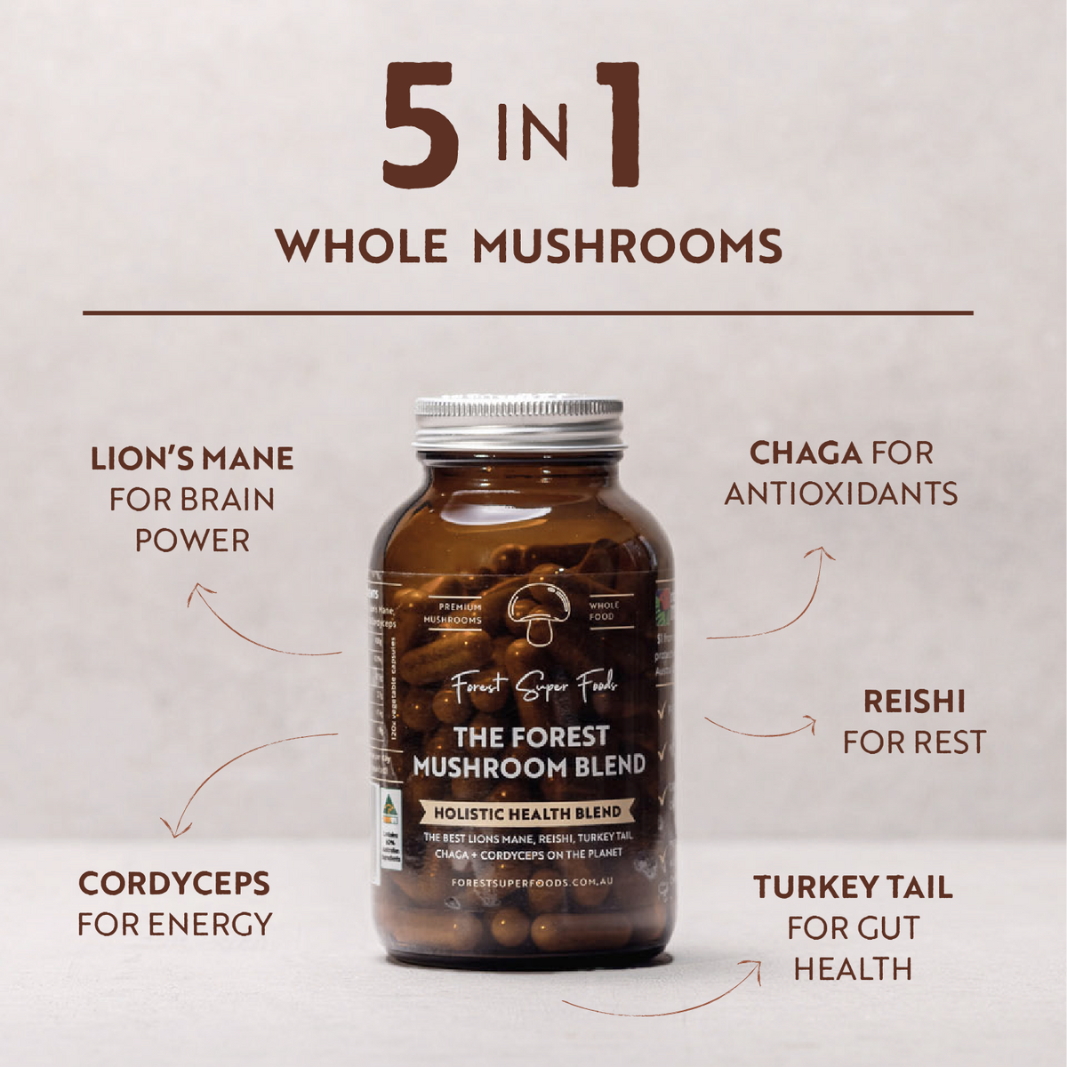 Forest Mushroom Blend Powder jar showing organic lion’s mane, chaga, reishi, cordyceps, and turkey tail mushrooms benefits