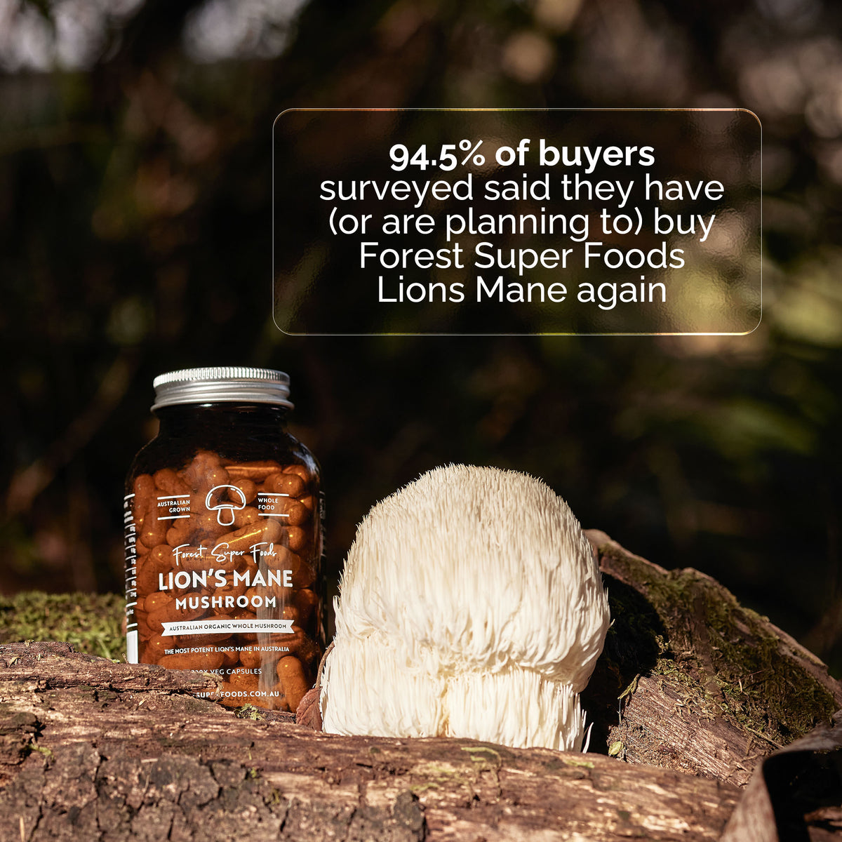 Lions Mane Mushroom bottle with static from lions mane customer survey