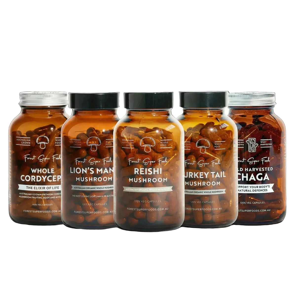 Ultimate Mushroom Bundle