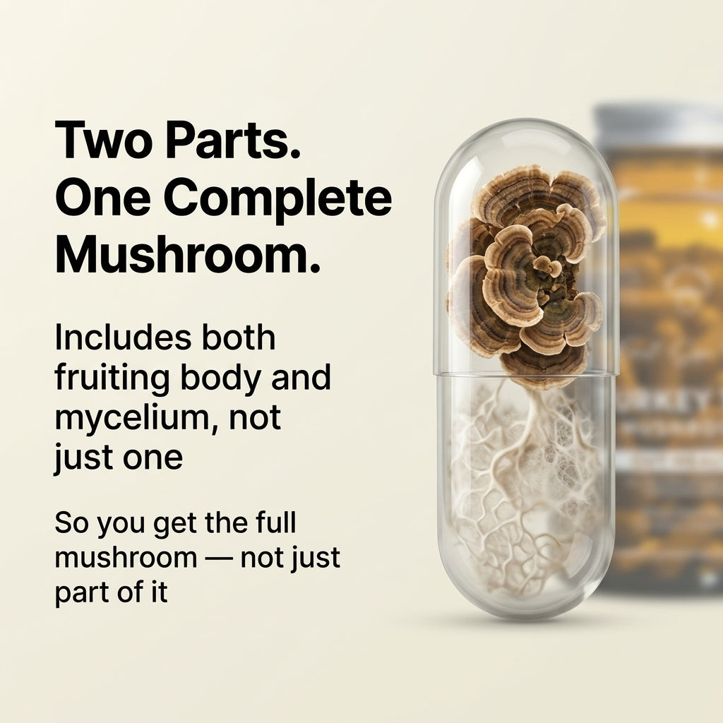 Mushroom capsule with text highlighting that it is fruiting body and mycelium whole mushroom